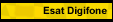 Esat